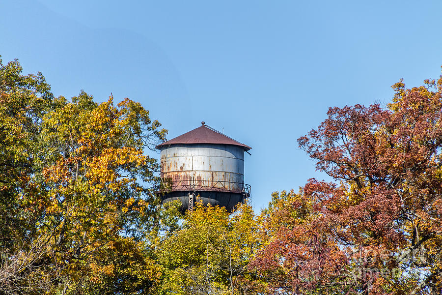 The Water Tower Photograph by William Norton