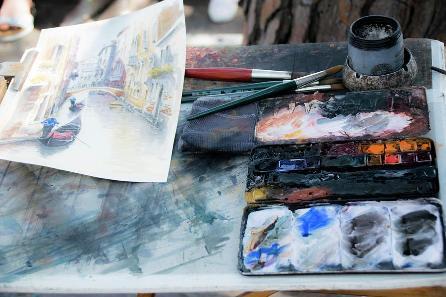 The Watercolour Painter Photograph by Christopher Maxum