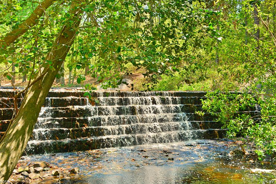 The Waterfall At Sesquicentennial State Park Photograph by Lisa Wooten