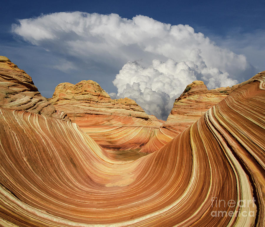The Wave Arizona Natures Gemstone Photograph by Bob Christopher