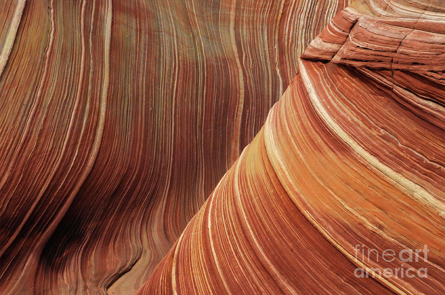Nature Photograph - The Wave  Artistry In Stone by Bob Christopher