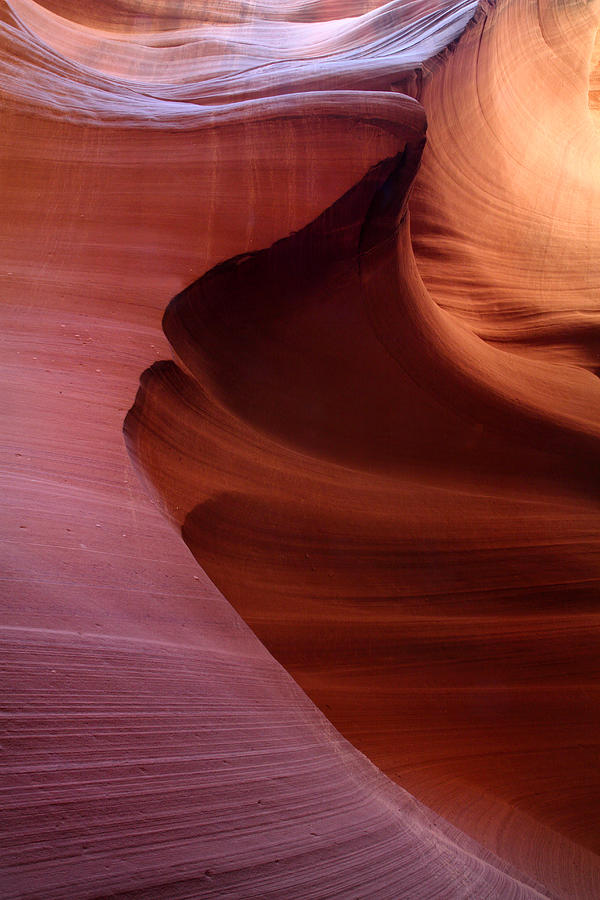 The Wave at Antelope Canyon Photograph by Pierre Leclerc Photography
