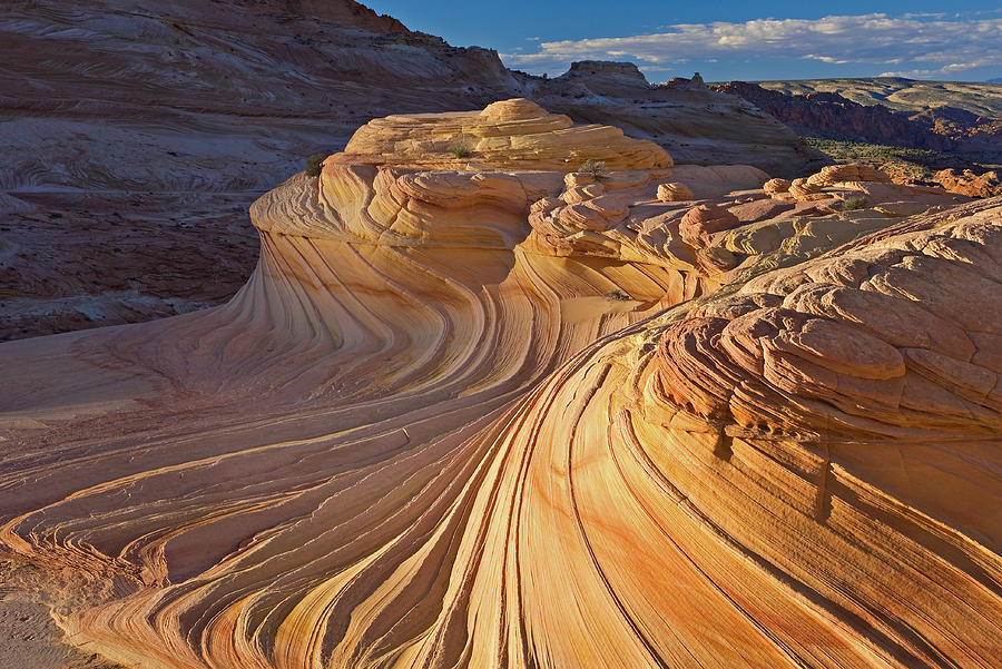 Nature Photograph - The Wave Coyote Buttes by Dean Pennala