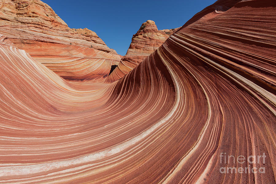 The Wave in the North Coyote Buttes, part of the Vermillion Clif Photograph by Henk Meijer Photography