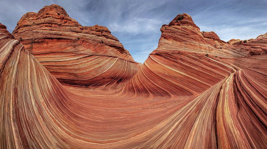 The Wave by Ronald Lafleur The Wave by Ronald Lafleur