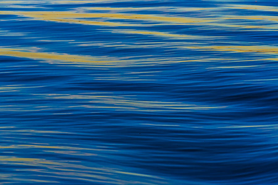 The Waves. Photograph by Elmer Jensen