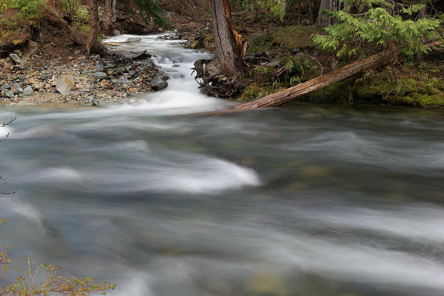 The way a stream finds its river Photograph by Jeff Swan
