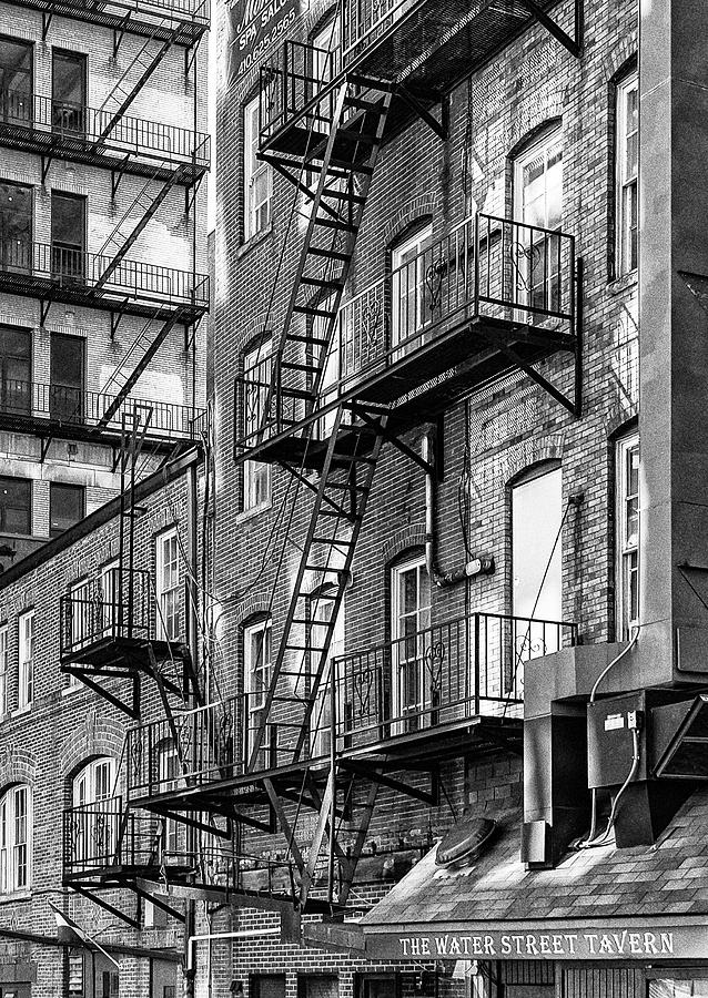 The Way Down BW  Photograph by Ginger Stein