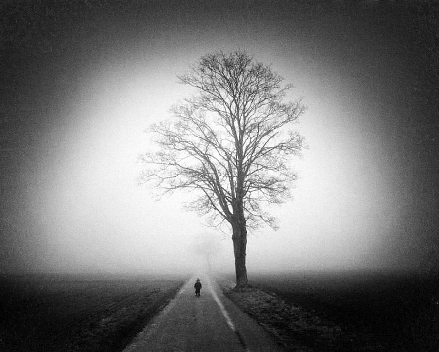 The Way.. Photograph by Holger Droste
