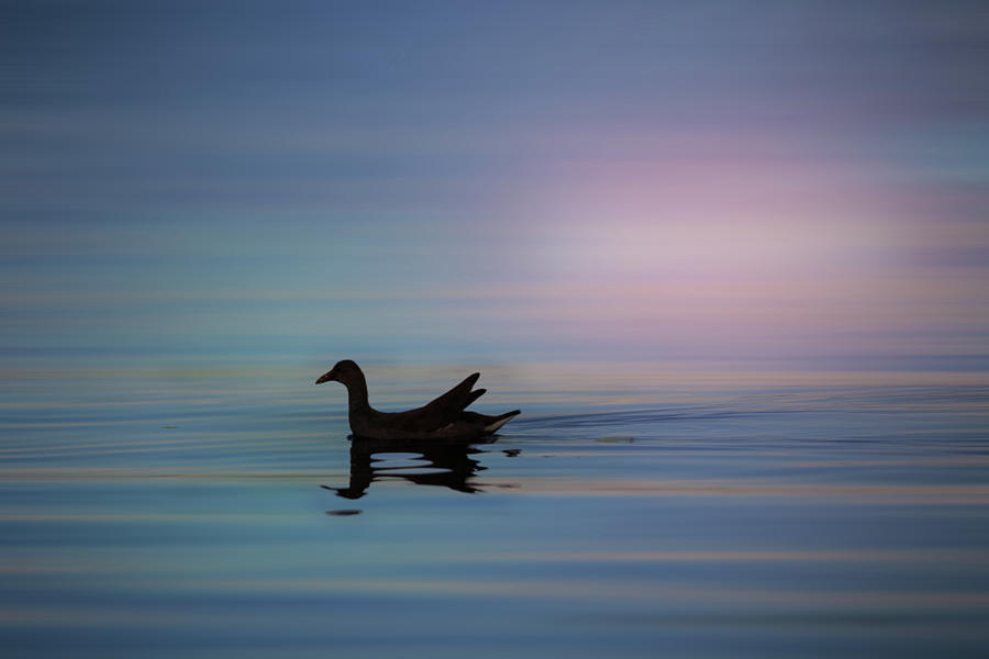The Way Home by CHRISTOPHER L THOMLEY The Way Home by CHRISTOPHER L THOMLEY