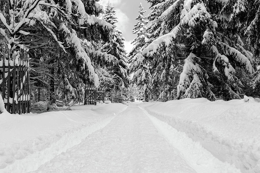 The Way Into The Winter - Monochrome Version Photograph by Andreas Levi