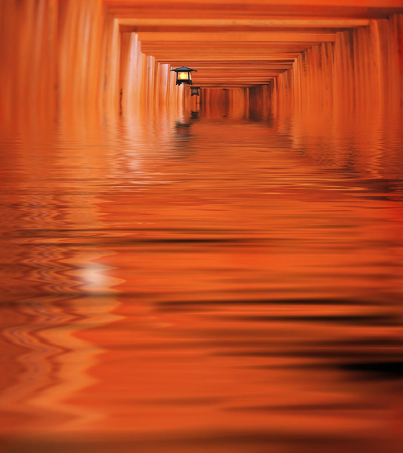 Orange Photograph - The Way by Jacky Gerritsen