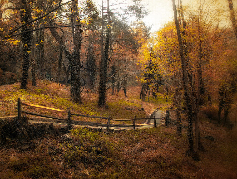 Fall Photograph - The Way by Jessica Jenney