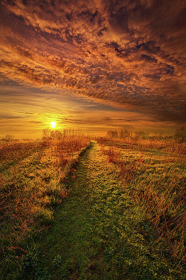The Way the Truth and the Life Photograph by Phil Koch