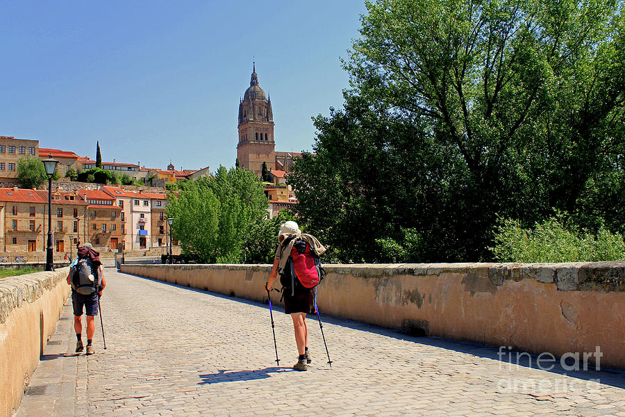 THE WAY to Compostela via Salamanca Photograph by Nieves Nitta