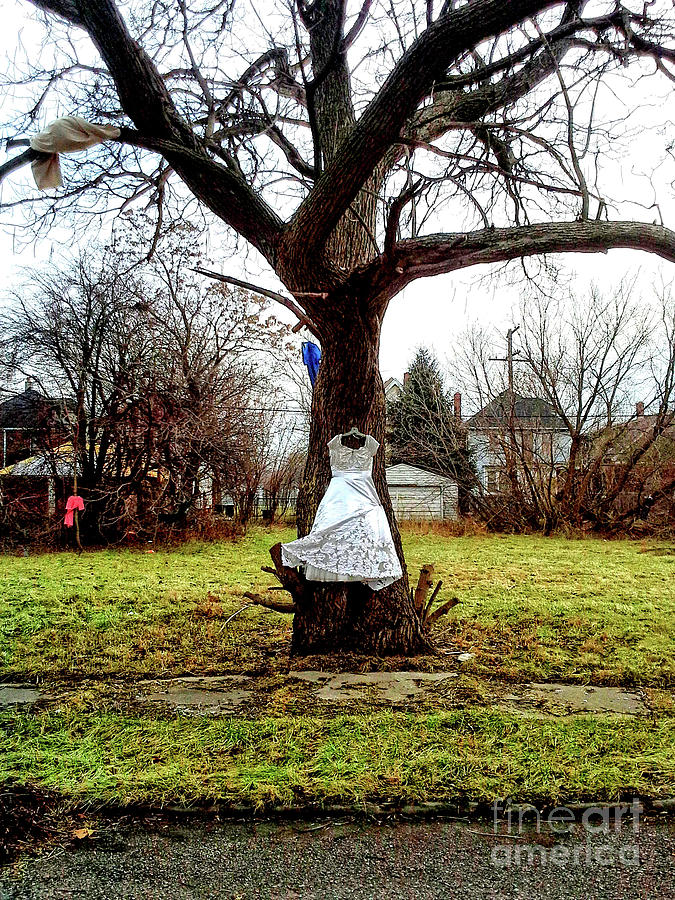 Tree Photograph - The Wedding Dress by Walter Neal Tree Photograph - The Wedding Dress by Walter Neal