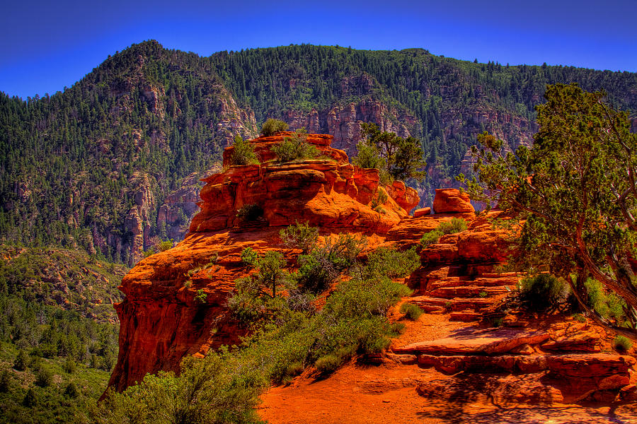 The Wedding Rock in Sedona Photograph by David Patterson