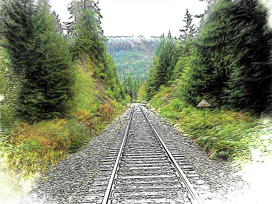 Tree Photograph - The Western Tracks by Leslie Montgomery