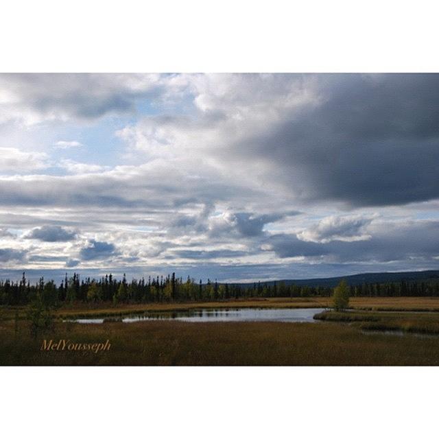 The Wetland Off Of Chena Hot Springs Photograph by Melinda El-Yousseph