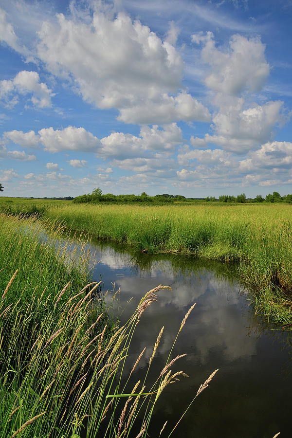 The Wetlands of Hackmatack National Wildlife Refuge Photograph by Ray Mathis