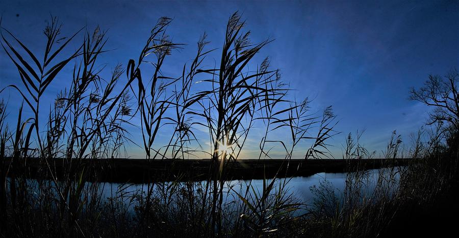 The Wetlands Sunset Photograph by John Glass