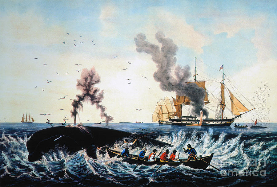 The Whale Fishery, Painting by Granger