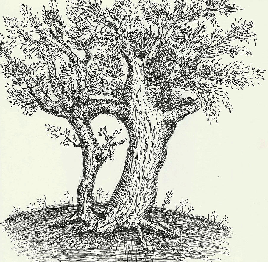 The Whimsy Tree Drawing by Sara Copley