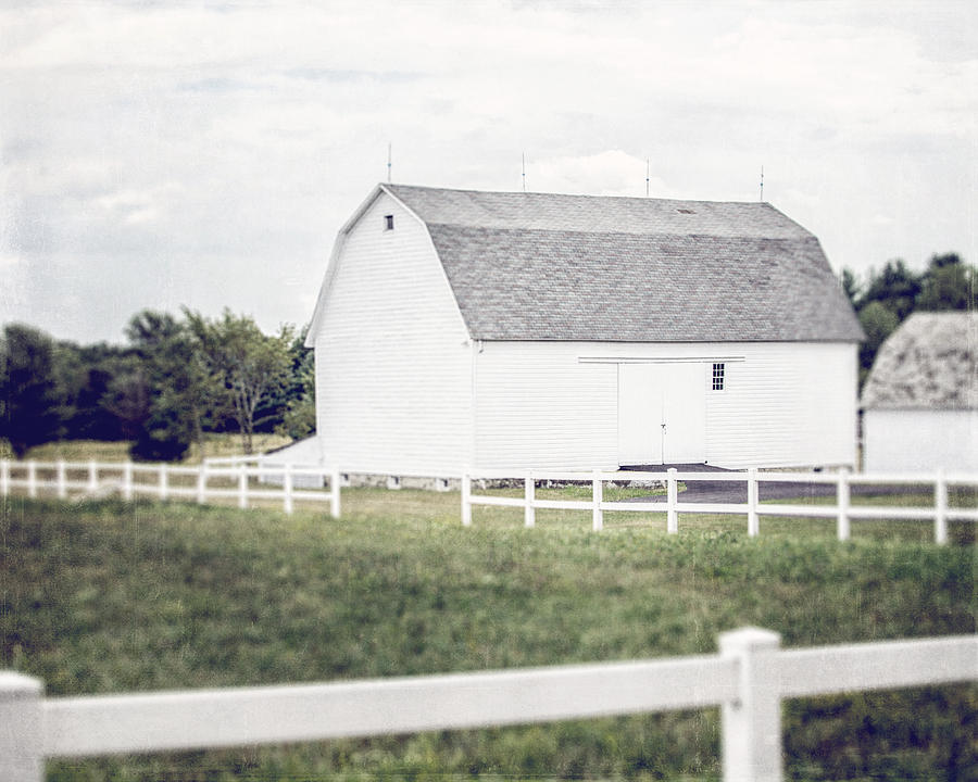 Nature Photograph - The White Barn by Lisa R