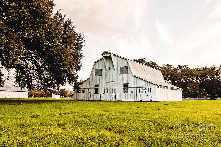 The White Barn Photograph by Scott Pellegrin
