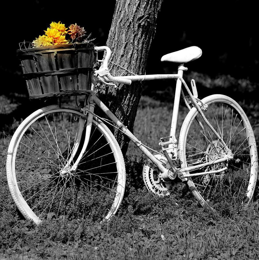 The White Bicycle Photograph by Imagery-at- Work