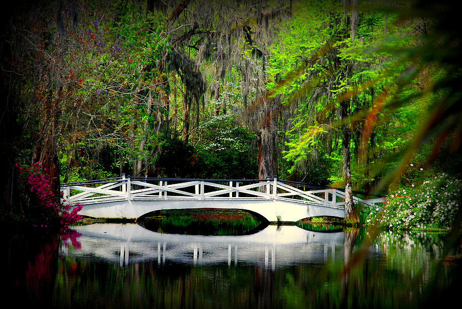 The white bridge in Magnolia Gardens SC Photograph by Susanne Van Hulst