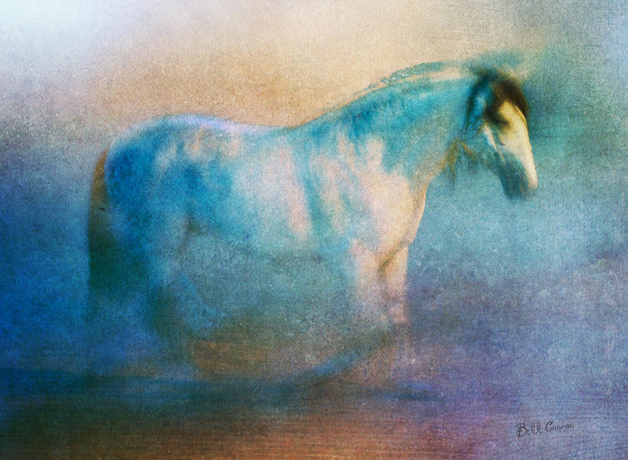 The White Horse Photograph by Bill Cannon