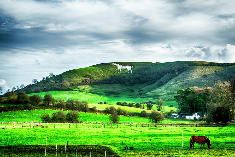 The White Horse  Photograph by Christopher Maxum