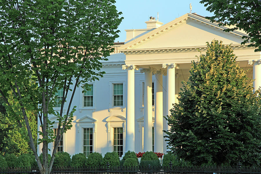 The White House Through Trees Photograph by Cora Wandel