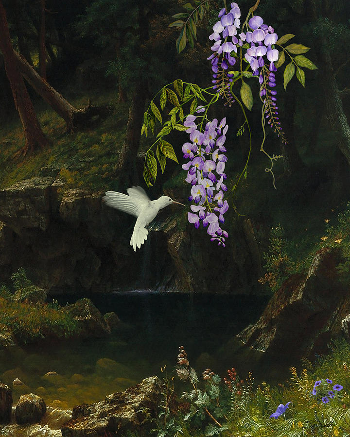 The White Hummingbird Digital Art by M Spadecaller