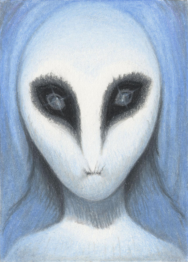 The White Owl Drawing