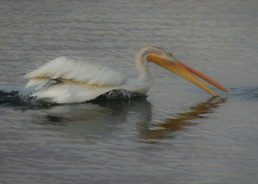 The White Pelican Digital Art by Ernest Echols
