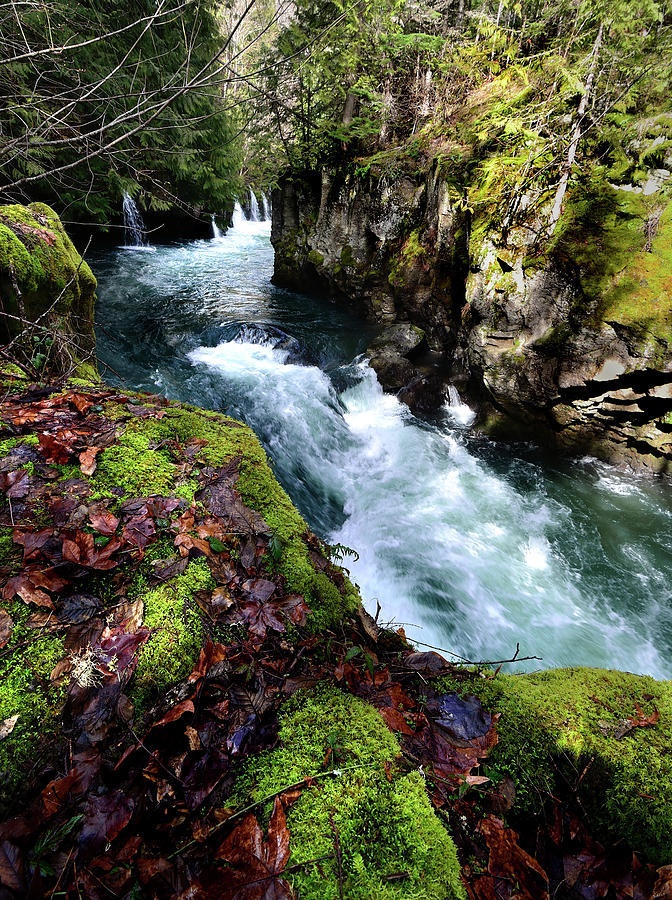 White Salmon River Photograph - The White Salmon River by Kevin Felts