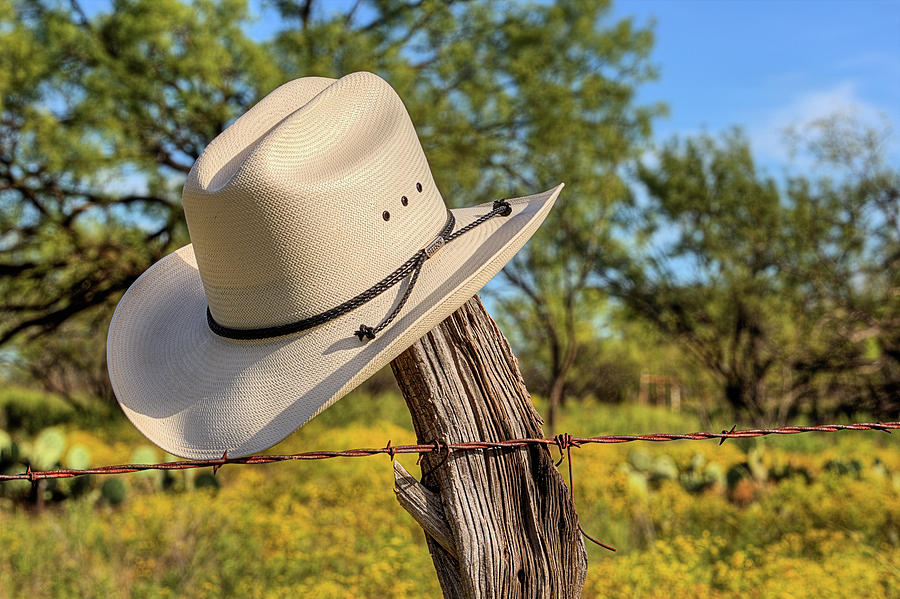 The White Stetson Photograph by JC Findley