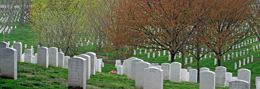 The White Tombstones Of Arlington Photograph by Cora Wandel