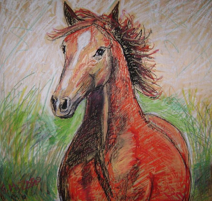 The Wild Horse Painting by Gianantonio Zago Marino The Wild Horse Painting by Gianantonio Zago Marino