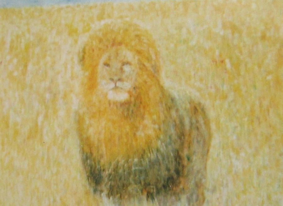 The Wild  lion Painting by Glenda Crigger