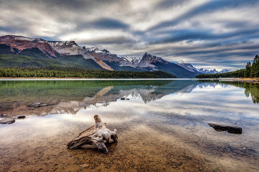 The wild shores of Maligne Lake Photograph by Pierre Leclerc Photography