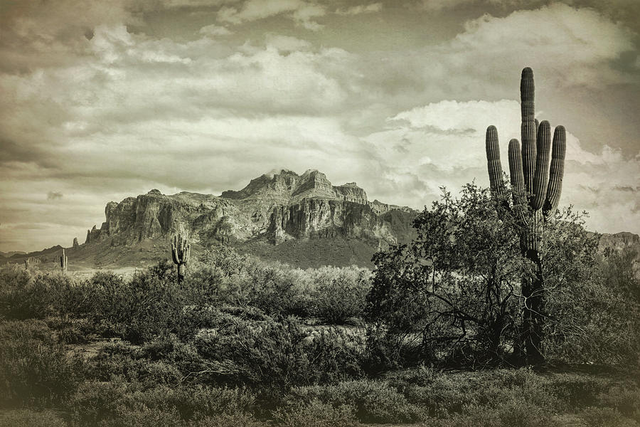 The Wild West Of The Superstitions  Photograph by Saija Lehtonen