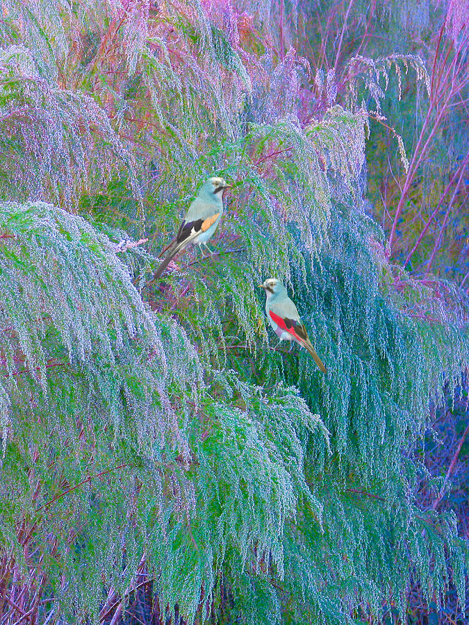 Bird Digital Art - The Willows by Adele Moscaritolo
