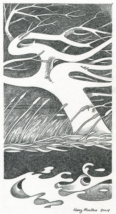 The Wind Drawing by Harry Moulton