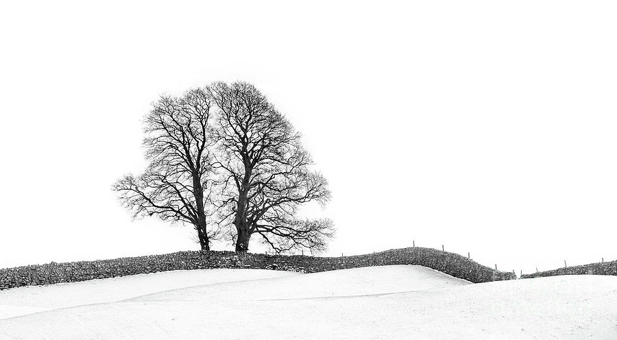 The Winding Wall 11 Photograph by Richard Burdon