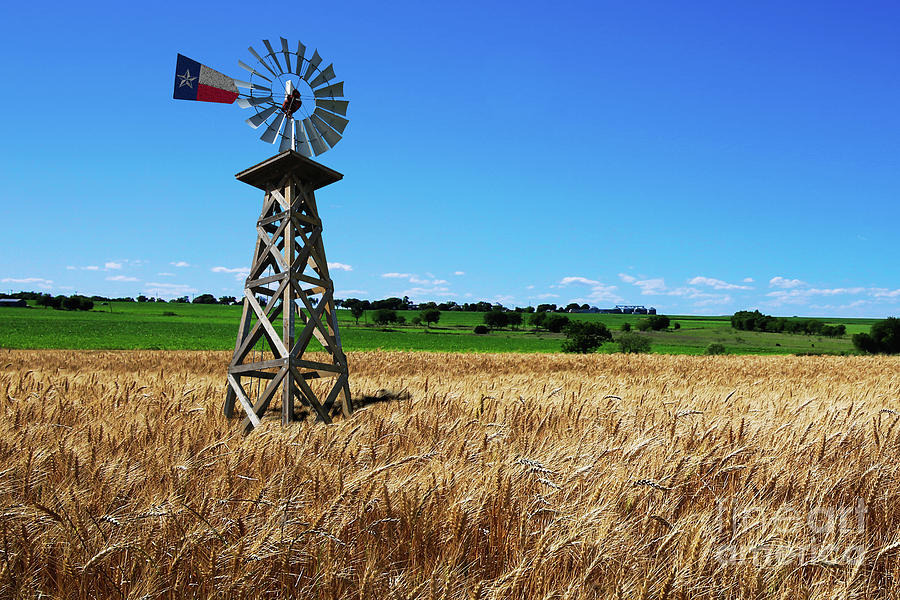 The Windmill and The Wheat Photograph by Randy Smith