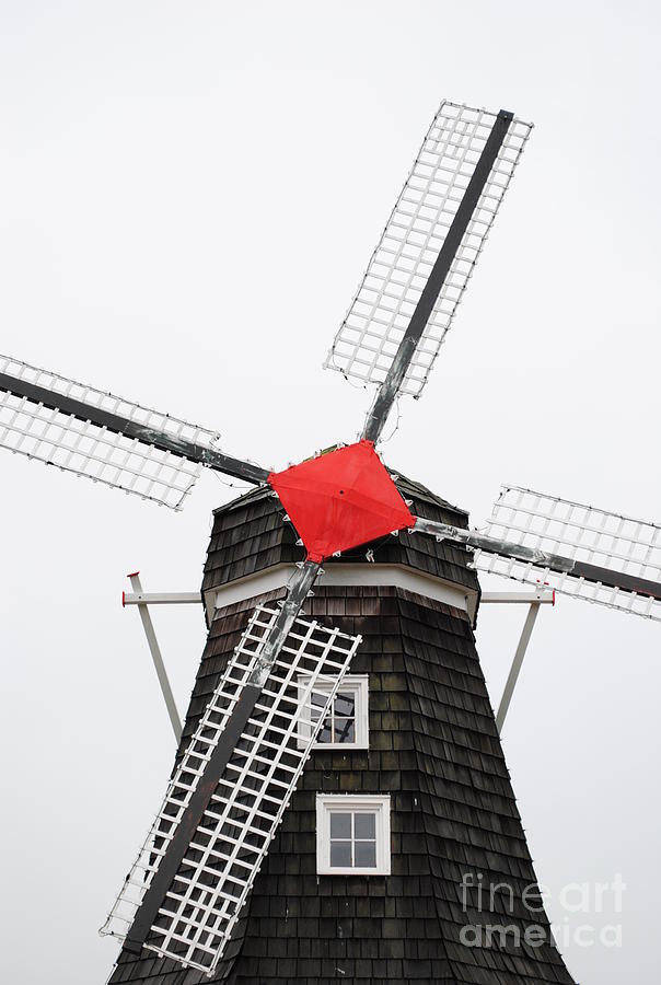The Windmill Photograph