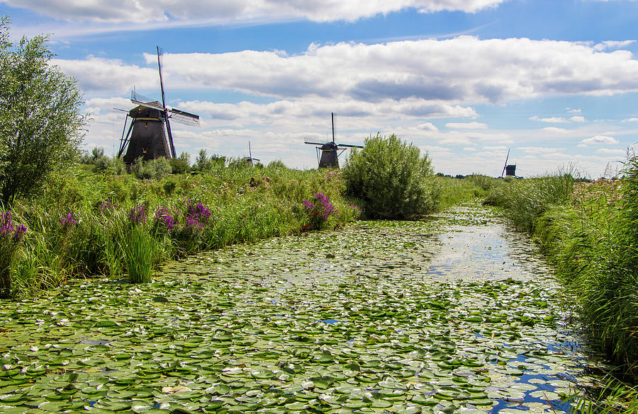 The Windmills of Kinderdijk in the Netherlands Photograph by Venetia Featherstone-Witty